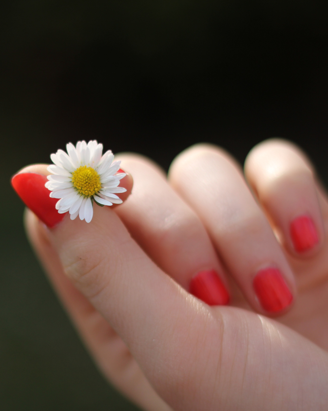 Avalon Salon & Spa nail work in Littleton, Colorado