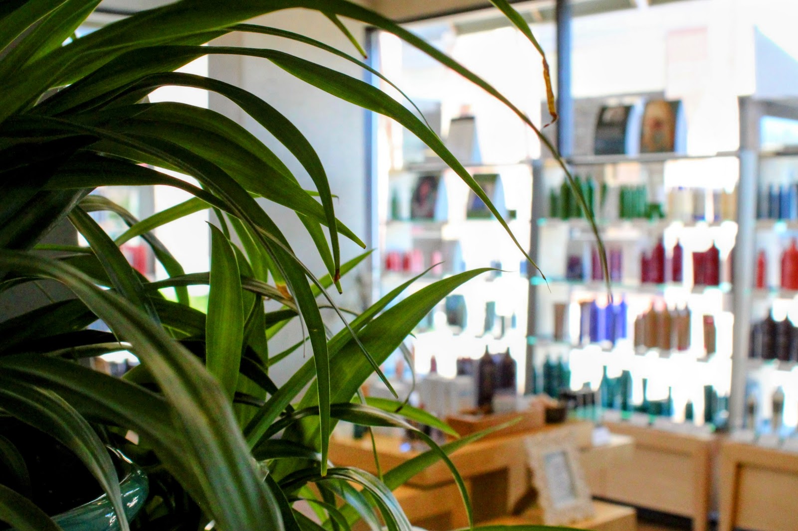 Avalon Salon & Spa nail photo 8